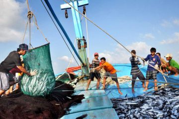 Hệ thống thể chế quốc gia, dữ liệu và giám sát để áp dụng hạch toán vốn tự nhiên