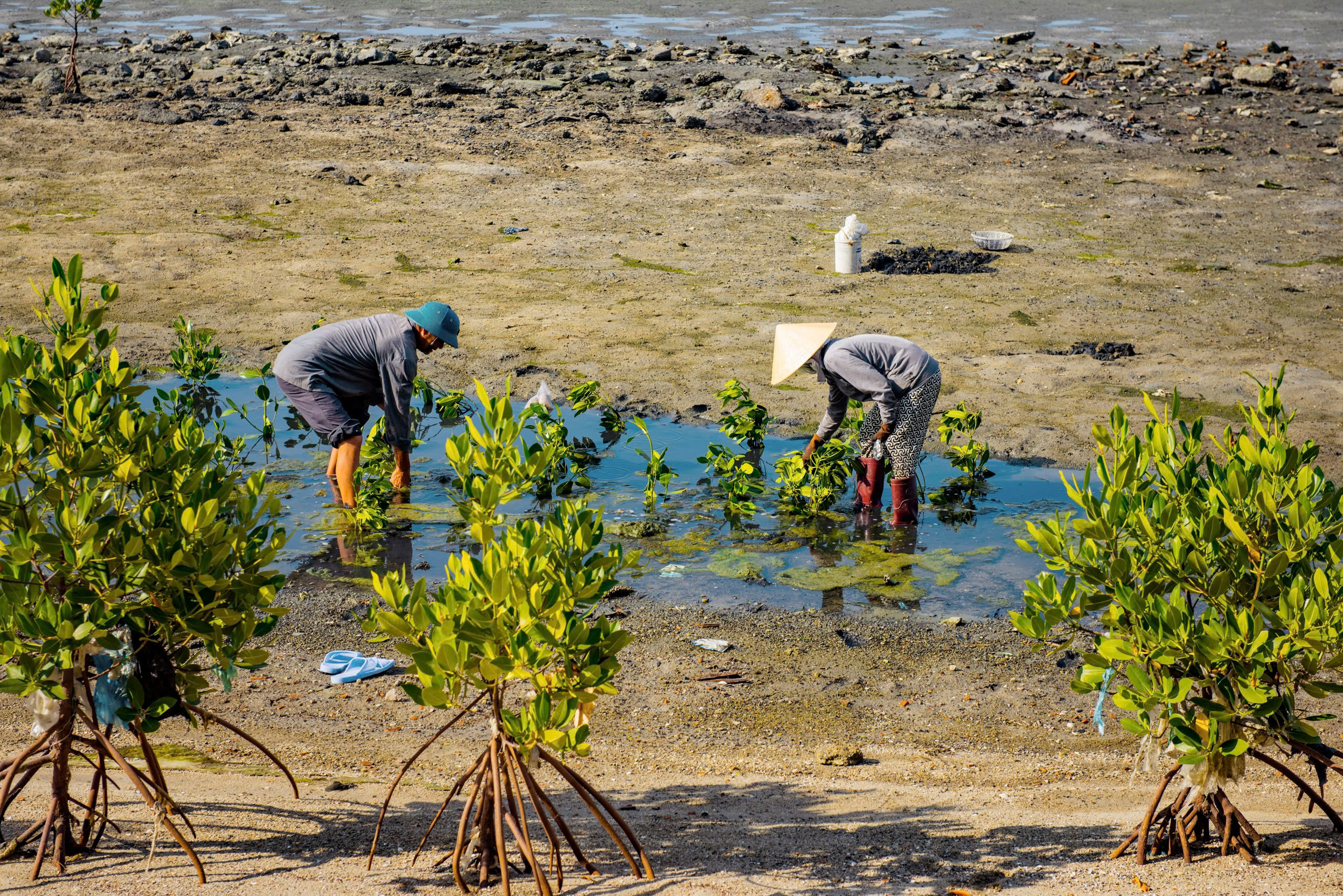Inception Report for the Project: Mainstreaming Marine and Coastal Natural Capital Assessment and Accounting into Viet Nam’s Development Planning for Blue Economic Growth of Key Sectors